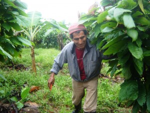 agricultor-cacaotero-bajas Agricultores están cambiando sus cultivos de coca por café, cacao y palma aceitera