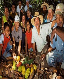cacaoteros__peruanos - Copy